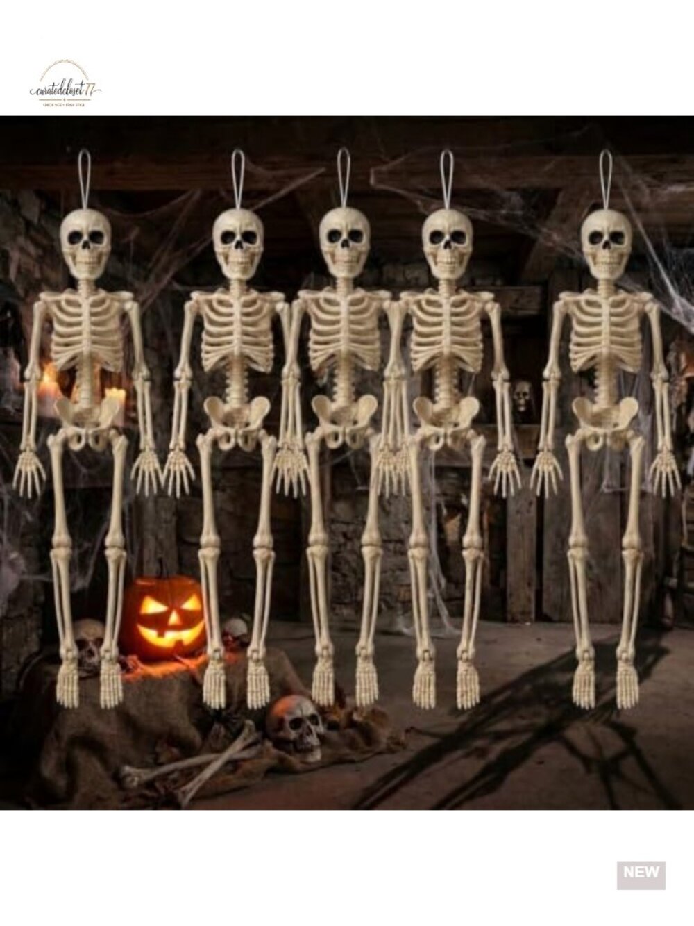 5 Pack 16in Hanging Skeleton Halloween Decorations